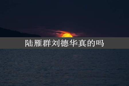 陆雁群刘德华真的吗