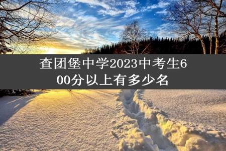 查团堡中学2023中考生600分以上有多少名