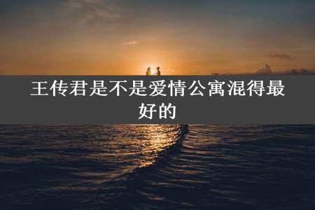 王传君是不是爱情公寓混得最好的