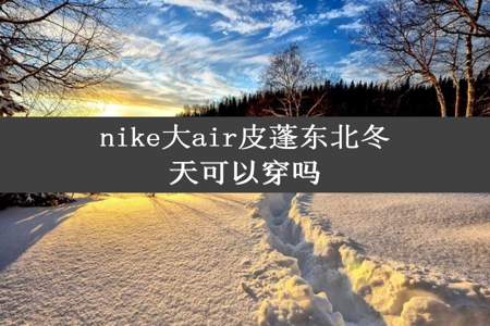 nike大air皮蓬东北冬天可以穿吗