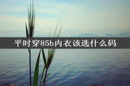 平时穿85b内衣该选什么码