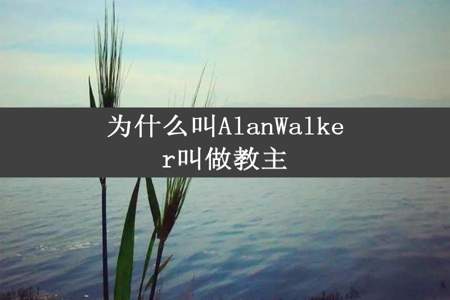 为什么叫AlanWalker叫做教主