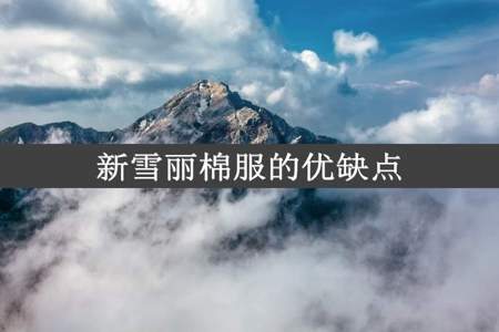 新雪丽棉服的优缺点