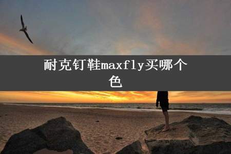 耐克钉鞋maxfly买哪个色