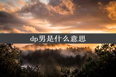 dp男是什么意思