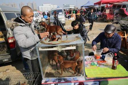 东府话是哪个地方话