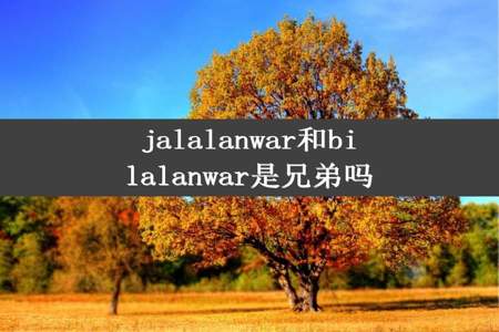 jalalanwar和bilalanwar是兄弟吗