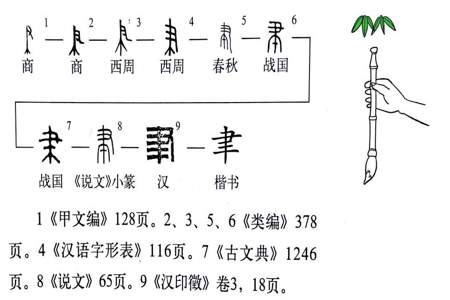 俩的部首是什么