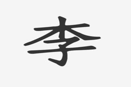 李字除了木还剩什么字