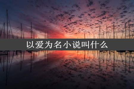 以爱为名小说叫什么