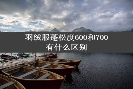 羽绒服蓬松度600和700有什么区别