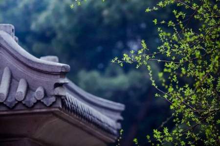 听风听雨听落花下一句是什么