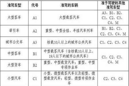 a2驾驶证扣11分怎么年审