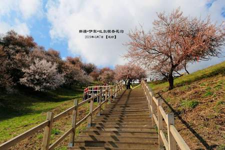 杏花沟的味道是啥意思