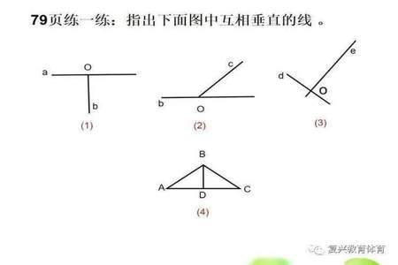 一个长方形中有几组垂线