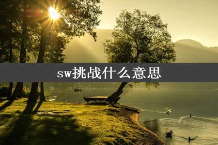 sw挑战什么意思