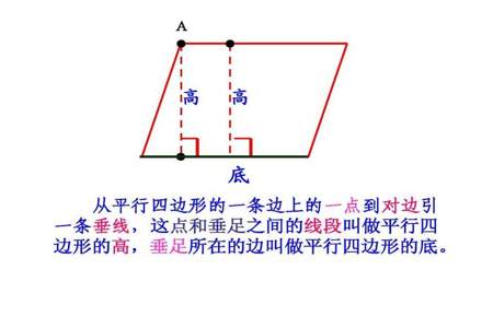 平行四边形何和梯形都有无数条高。这句话是对的吗