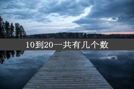 10到20一共有几个数