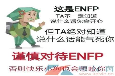 enfp型人格的女适合什么男生