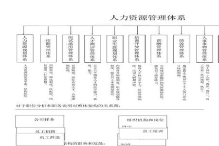 人力资源都有哪些职位及做什么