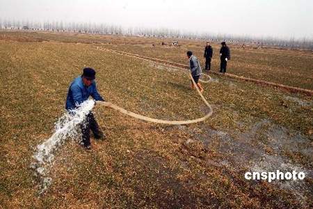 小麦冻水需要浇大水吗