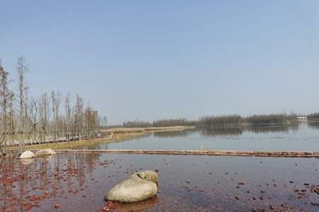 鱼尾洲湿地公园地铁几号出口