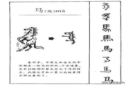 马繁体字几画