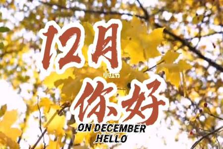 12月你好发给女友的话