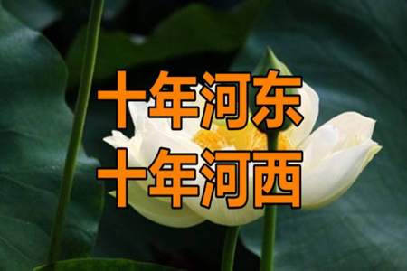 十年河东，十年河西什么意思啊