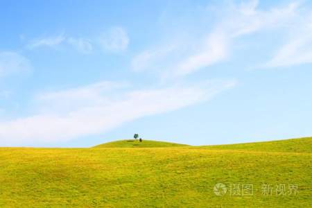 怎样用天空田野动物写一首小诗