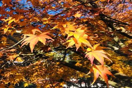 12月怎么形容这个季节