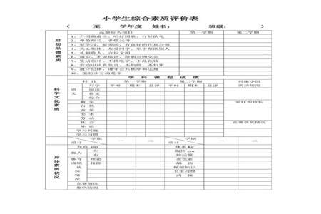 小学生素质评价