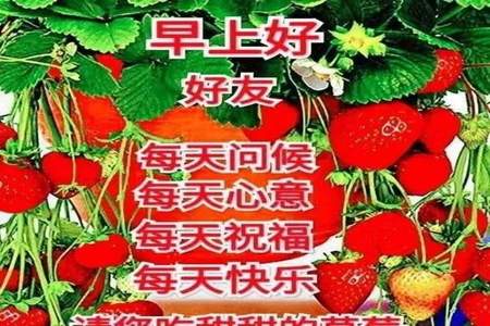 谢谢朋友早上好问候语