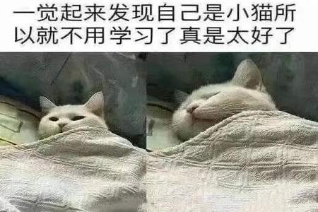 什么的粮食填上合适的形容词