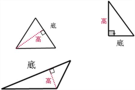 经过梯形底边上的一个顶点可以画几条高