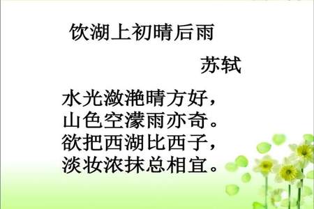 饮湖上初晴后雨三年级课文解析