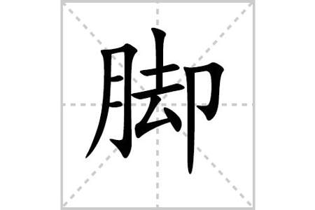 腿字的笔画顺序