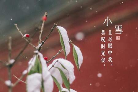 小雪思念恋人诗词