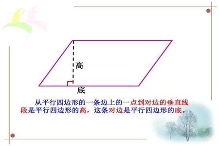 平行四边形有几组互相平行的线段