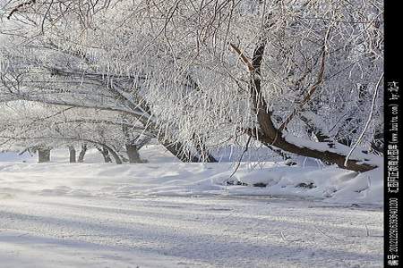 冬雪对仗哪些词