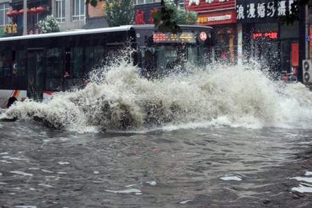 下暴雨和石龟有关系吗