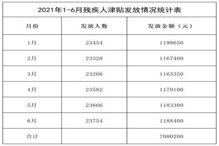 残疾人专用票额是什么意思