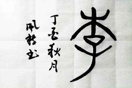 李字去掉上边的木字，是什么字