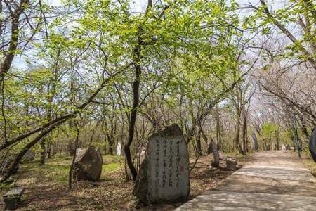 嘤嘤成韵是什么意思