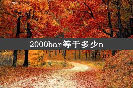 2000bar等于多少n