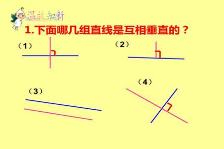 怎么数垂线