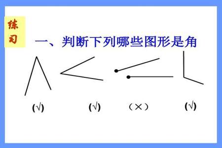 角是从一点引出两条什么所组成的图形，这一点叫做角的什么