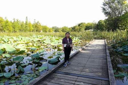 长广溪湿地公园地铁怎么去