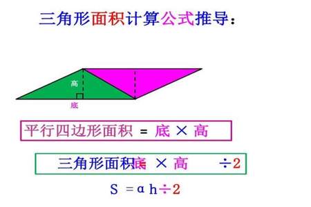 三角形的面积公式