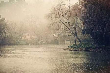 晴方好雨亦奇表达了诗人什么感情